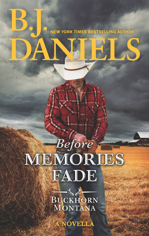 Cover image for book Before Memories Fade