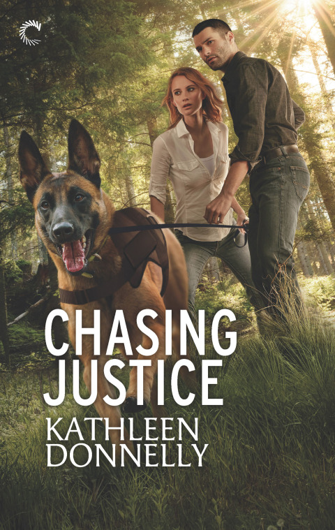 Cover image for book Chasing Justice