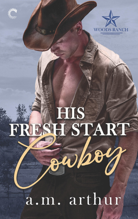 Cover image for book His Fresh Start Cowboy