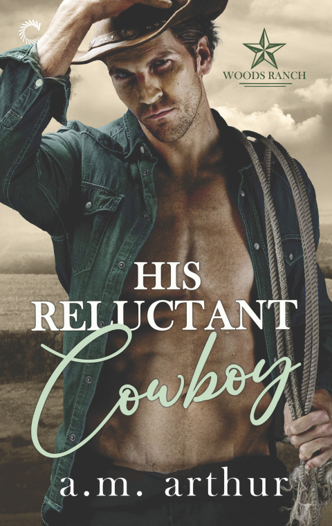Cover image for book His Reluctant Cowboy