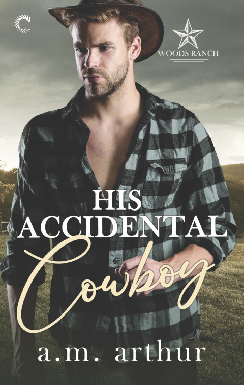 Cover image for book His Accidental Cowboy