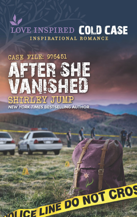 Cover image for book After She Vanished