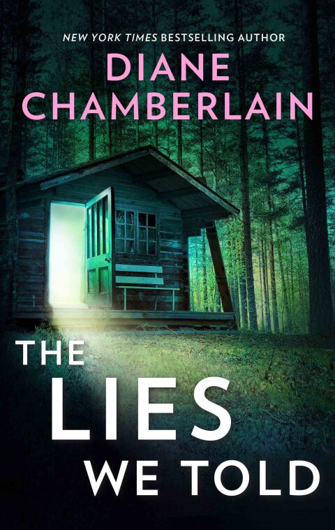 Cover image for book The Lies We Told