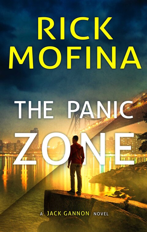 Cover image for book The Panic Zone