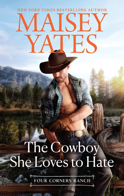 Cover image for book The Cowboy She Loves to Hate