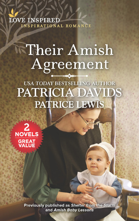 Cover image for book Their Amish Agreement