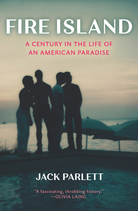 Cover image for book Fire Island