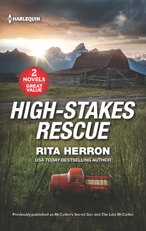 Cover image for book High-Stakes Rescue