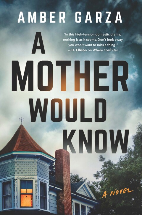 Cover image for book A Mother Would Know