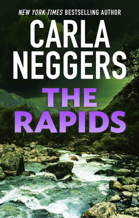 Cover image for book The Rapids