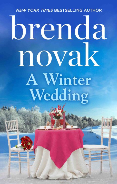 Cover image for book A Winter Wedding