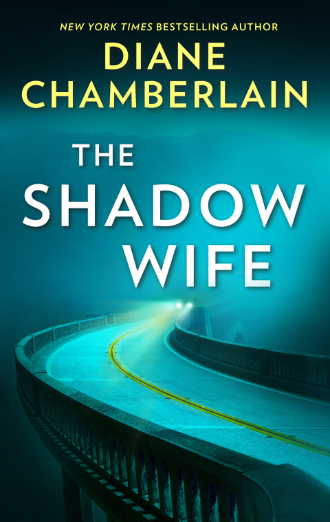 Cover image for book The Shadow Wife