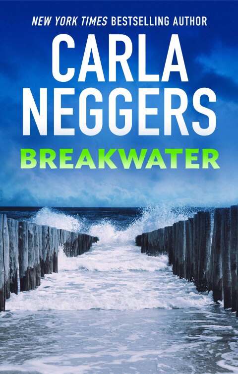 Cover image for book Breakwater