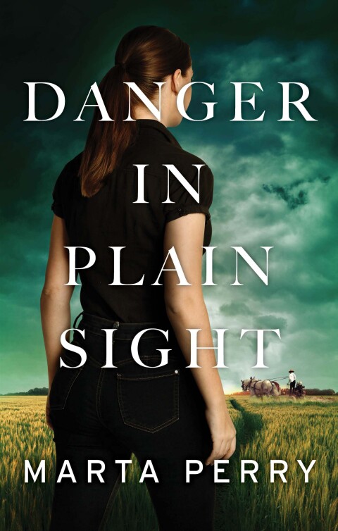 Cover image for book Danger in Plain Sight