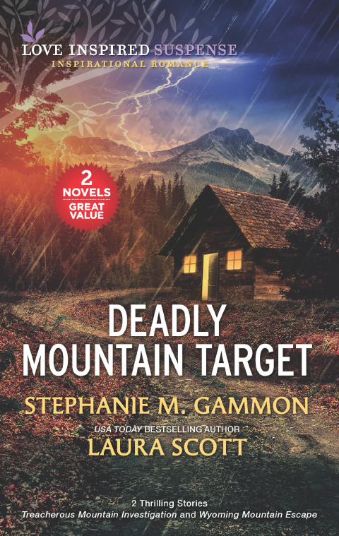 Cover image for book Deadly Mountain Target