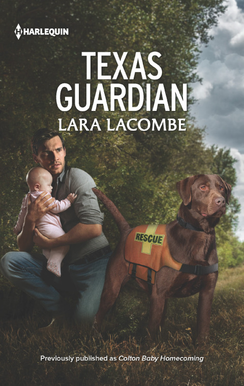 Cover image for book Texas Guardian