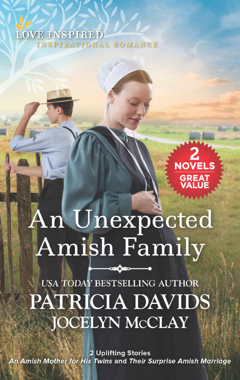 Cover image for book An Unexpected Amish Family