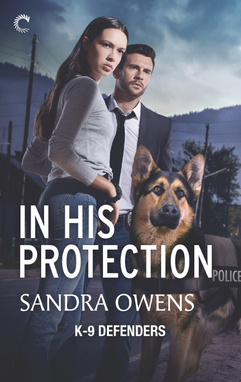 Cover image for book In His Protection