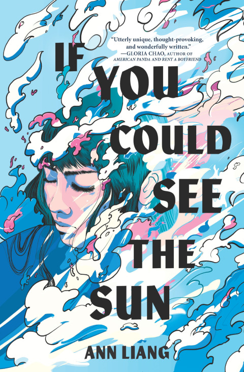Cover image for book If You Could See the Sun