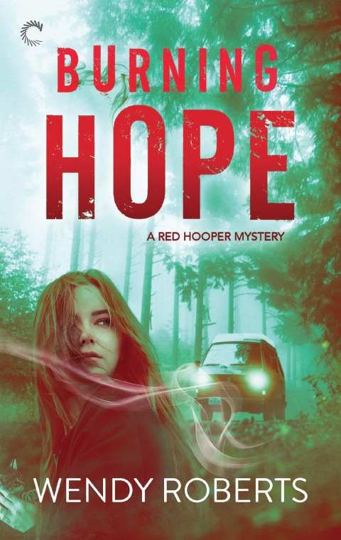 Cover image for book Burning Hope