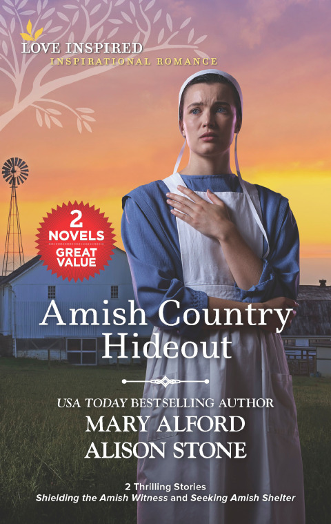 Cover image for book Amish Country Hideout