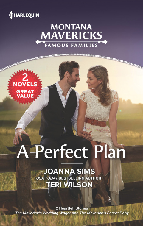 Cover image for book A Perfect Plan