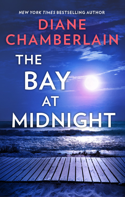 Cover image for book The Bay at Midnight