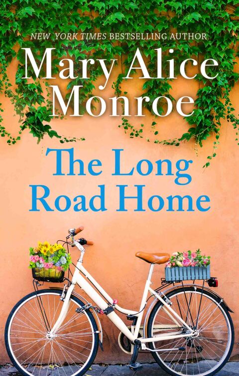 Cover image for book The Long Road Home