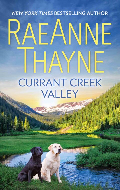Cover image for book Currant Creek Valley