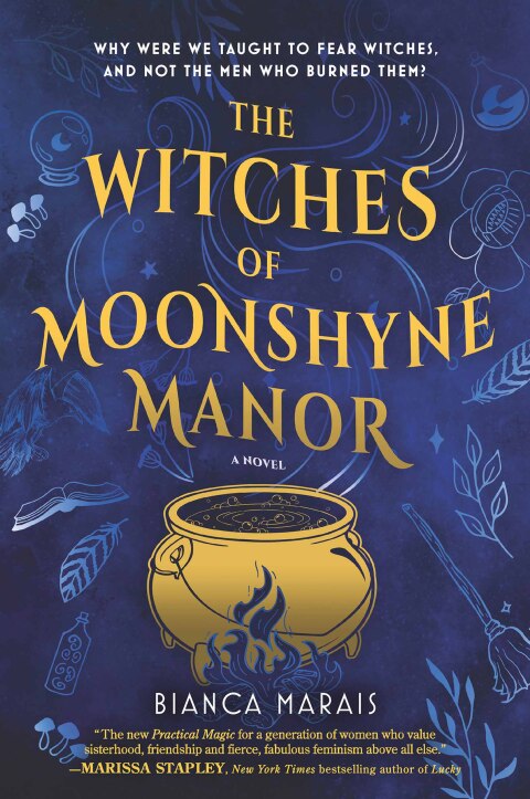 Cover image for book The Witches of Moonshyne Manor