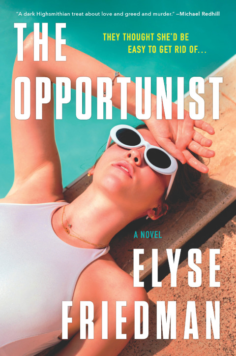 Cover image for book The Opportunist