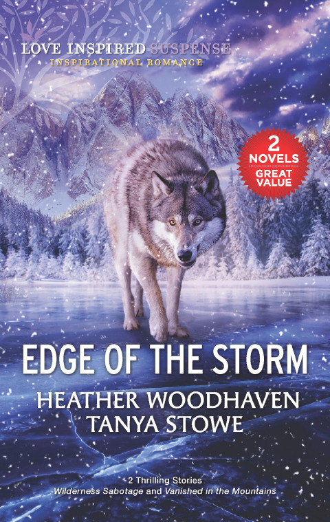Cover image for book Edge of the Storm