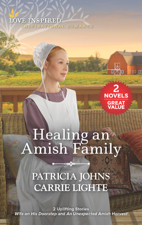 Cover image for book Healing an Amish Family