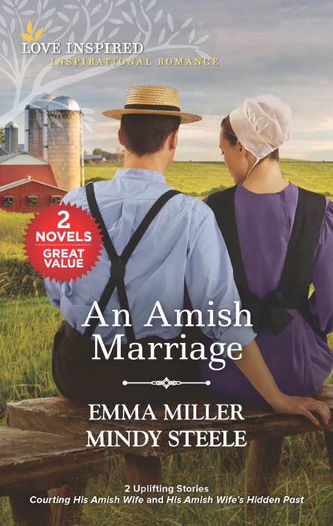 Cover image for book An Amish Marriage