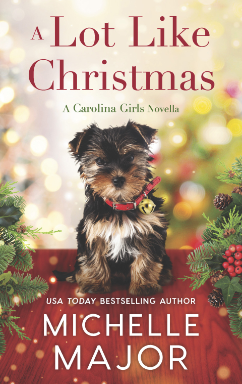 Cover image for book A Lot Like Christmas