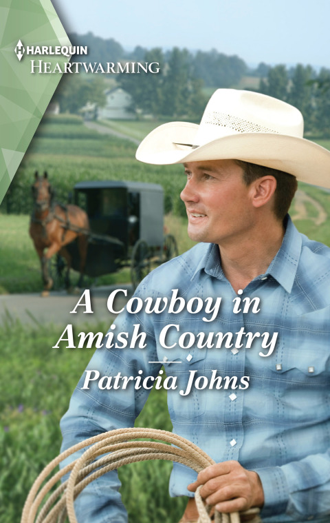 Cover image for book A Cowboy in Amish Country