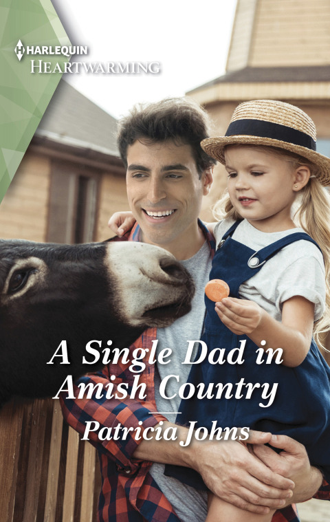 Cover image for book A Single Dad in Amish Country