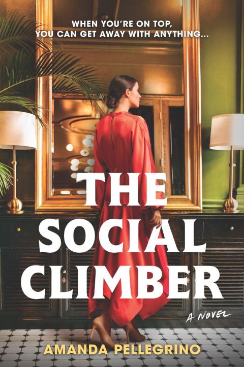 Cover image for book The Social Climber