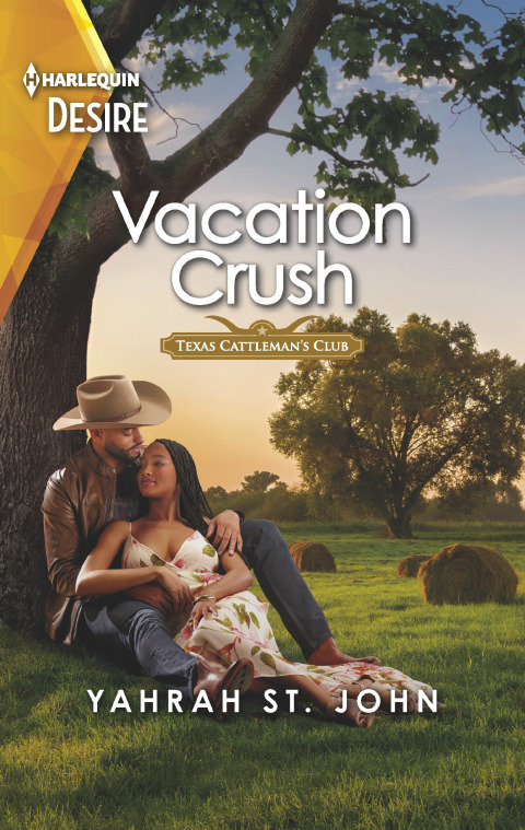 Cover image for book Vacation Crush