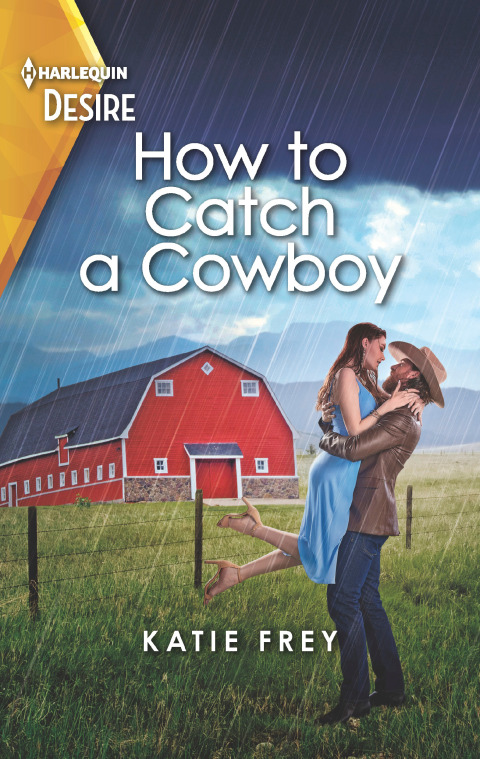 Cover image for book How to Catch a Cowboy