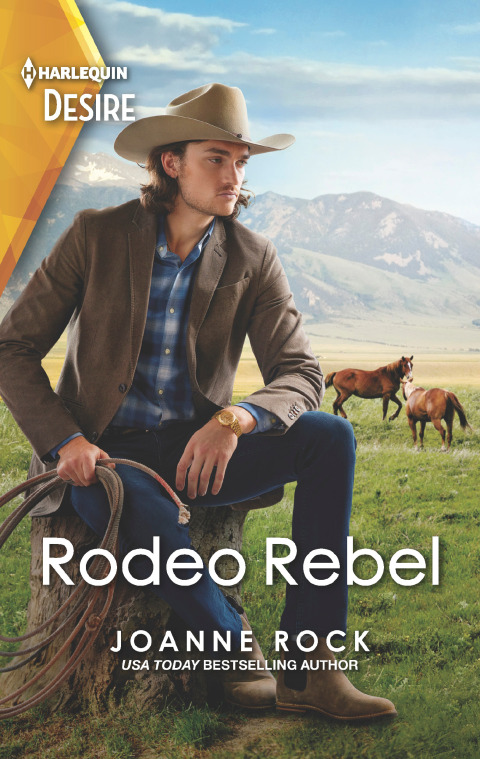 Cover image for book Rodeo Rebel