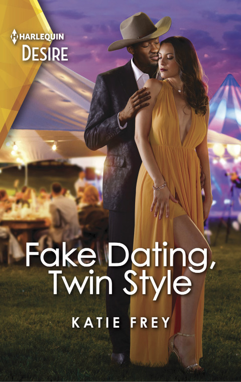 Cover image for book Fake Dating, Twin Style