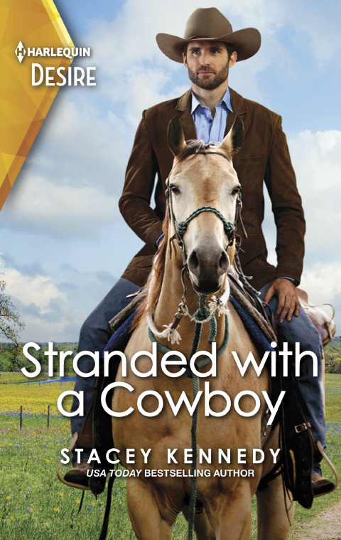 Cover image for book Stranded with a Cowboy
