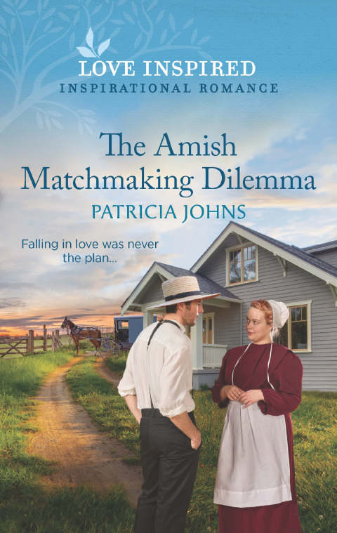 Cover image for book The Amish Matchmaking Dilemma