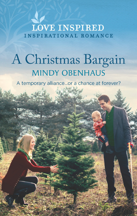 Cover image for book A Christmas Bargain