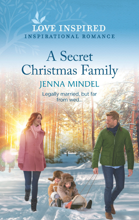 Cover image for book A Secret Christmas Family
