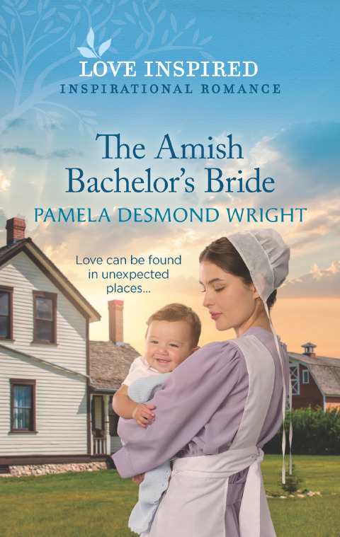 Cover image for book The Amish Bachelor's Bride