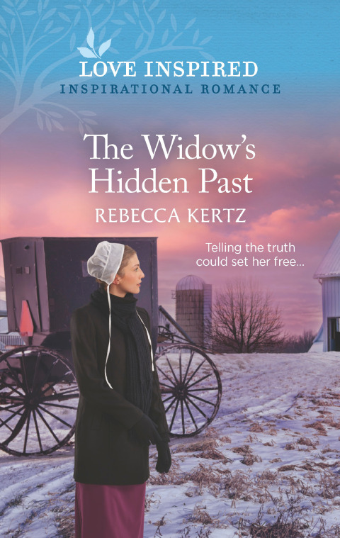 Cover image for book The Widow's Hidden Past