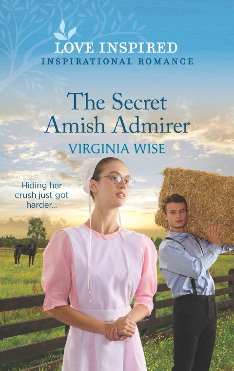 Cover image for book The Secret Amish Admirer
