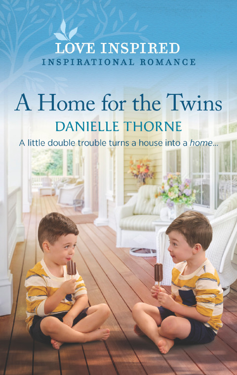 Cover image for book A Home for the Twins